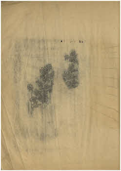 Visualizza l'immagine "FD Album 13, 13"